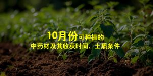 10月份可以种植的中药材及其收获时间、土质条件